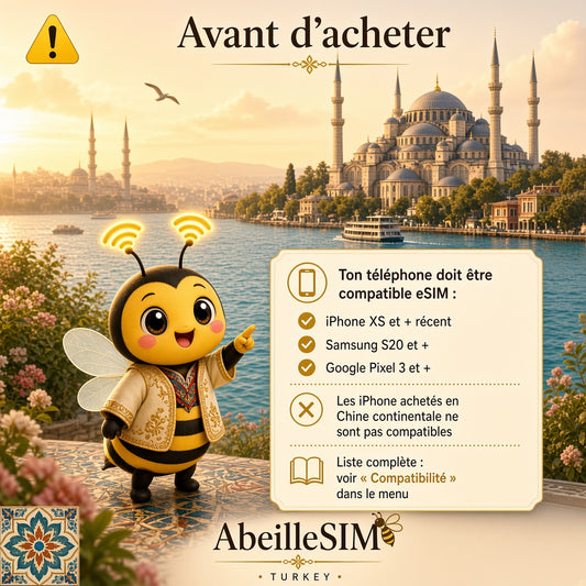 eSIM Turquie 4G/5G · Dès 5,99 € · Activation 2 min