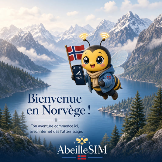 eSIM Norvège 4G/5G · Dès 5,99 € · Activation 2 min