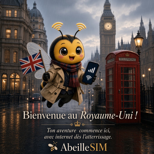 eSIM Royaume-Uni 4G/5G · Dès 5,99 € · Activation 2 min