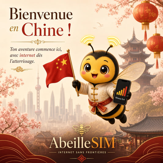 eSIM Chine 4G/5G · Dès 5,99 € · Activation 2 min
