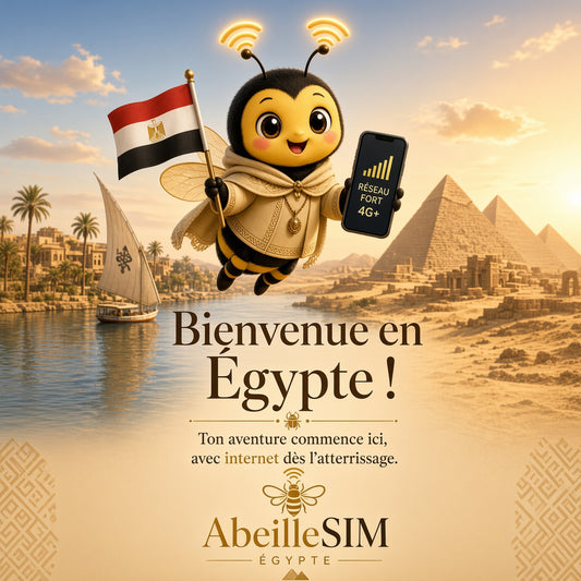 eSIM Égypte 4G/5G · Dès 5,99 € · Activation 2 min