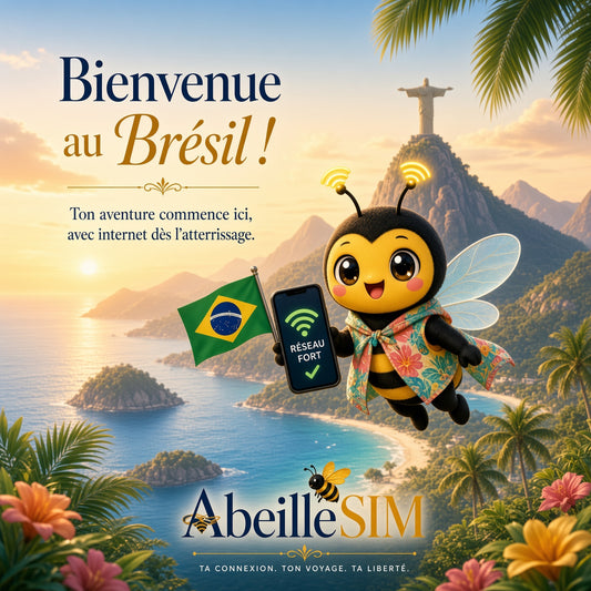 eSIM Brésil 4G/5G · Dès 8,99 € · Activation 2 min