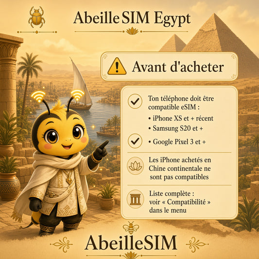 eSIM Égypte 4G/5G · Dès 5,99 € · Activation 2 min