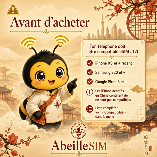 eSIM Chine 4G/5G · Dès 5,99 € · Activation 2 min