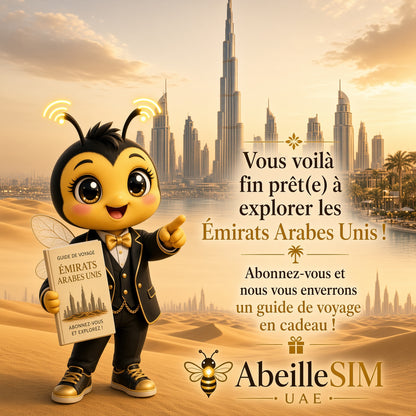 eSIM Émirats 4G/5G · Dès 6,99 € · Activation 2 min