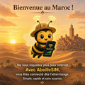eSIM Maroc 4G/5G · Dès 5,99€ · Activation 2 min